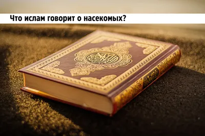 islam.ru ислам.ру | Moscow