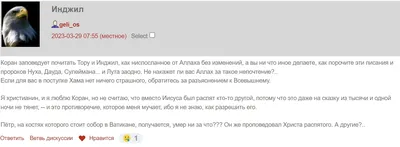 Почему Ислам - ⭕️Знамение Аллаха в птицах⭕️ В Священном Коране Аллах  говорит: «Неужели они не видели птиц, покорно летающих в небе? Никто их не  удерживает, кроме Аллаха. Воистину в этом — знамение