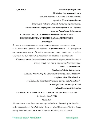 фон ислам керен, фон ислам, Преимущество Ислами, Исламский фон картинки и  Фото для бесплатной загрузки