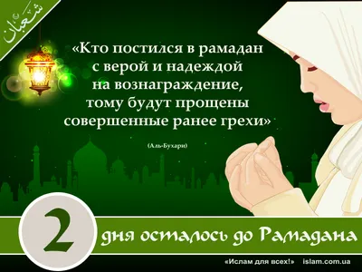 UFC - 🎂 Исламу Махачеву сегодня 31. С днём рождения, чемп! | Facebook