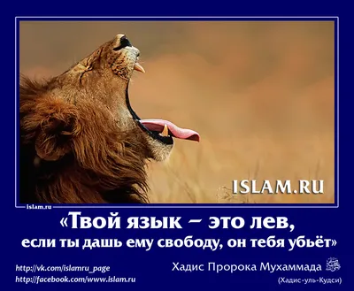 Исламские открытки | islam.ru