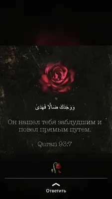 Исламские открытки | islam.ru