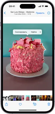 Воспроизведение видео и слайд-шоу в приложении «Фото» на iPhone - Служба  поддержки Apple (RU)