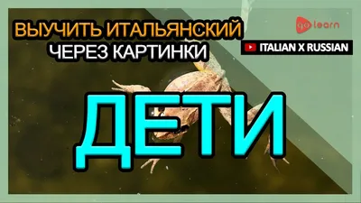 1200 самых важных итальянских слов в картинках. Для начинающих  (ID#1525615993), цена: 555 ₴, купить на Prom.ua