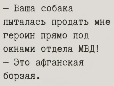 Юмор — это серьезно: как маленькая шутка может укрепить авторитет и  повысить статус | Forbes Woman