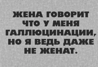 Вместо смеха — «Панорама». Юмор в России взяли в кольцо репрессий. Выживают  самые хитрые — но и за ними начали приходить. История агентства выдуманных  новостей, которые стали реальностью — Новая газета