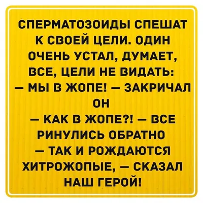 Новогодние анекдоты в картинках | Пикабу