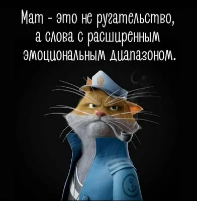 Юмор от подписчиков - смешные картинки и анекдоты | Бросаем пить вместе |  Дзен