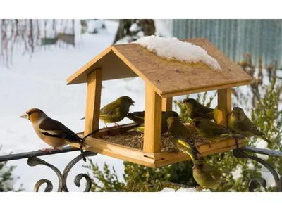 Как сделать скворечник дуплянка для воробьёв. Homemade Bird Houses from a  Natural Log - YouTube