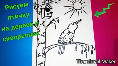 Как нарисовать ПТИЧКУ НА ДЕРЕВЕ и СКВОРЕЧНИК, ПОЭТАПНО/How to draw a BIRD  IN a TREE and BIRDHOUSE - YouTube