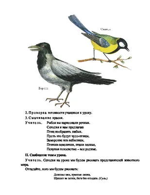 Разработка урока по ИЗО 1 класс.РИСОВАНИЕ С НАТУРЫ ИЛИ ПО ПАМЯТИ ПТИЦ