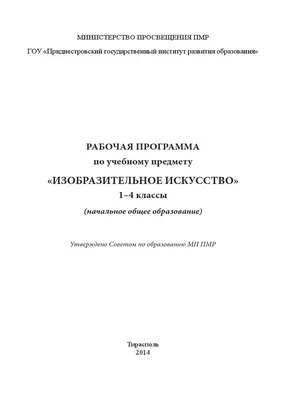 Rabochaia Programma IZO PDF | PDF