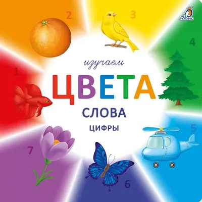 Изучаем цвета, слова, цифры с наклейками - купить с доставкой по Москве и  РФ по низкой цене | Официальный сайт издательства Робинс