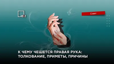 Говорят, не повезет, если черный кот посуду разобьет: в какие приметы верят  россияне - KP.RU