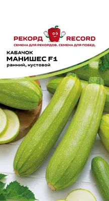 Купить Кабачок Цуккини Семеновна недорого по цене 26руб.|Garden-zoo.ru