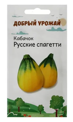 8 хитростей для большого урожая кабачков | zviazda.by