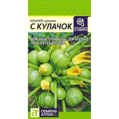 Семена кабачок Добрый Урожай Русские спагетти 1 уп. - отзывы покупателей на  Мегамаркет