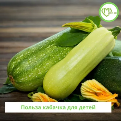 Кабачок для детей можно сделать вкусным. И расскажу, почему дети не любят  кабачки. | Островок семьи | Дзен