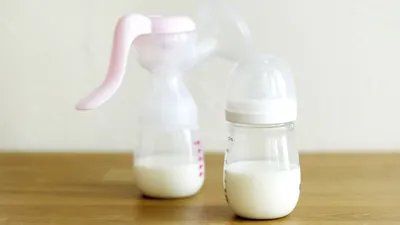Фото-инструкция: как правильно сцедить молоко руками