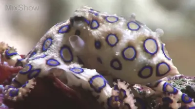 Фотографии микробов на руках после применения антисептиков