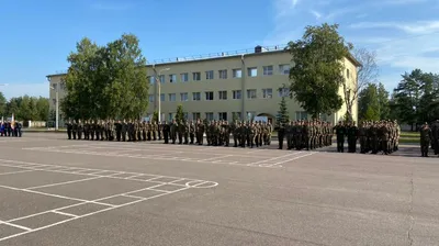 В Каменке наградили героев спецоперации | 17.08.2022 | ЛенОбласть -  БезФормата