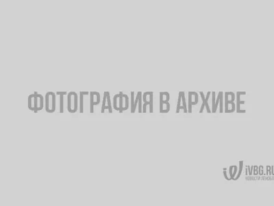 Купить Земельный участок с участком 14 сот. в Выборгский район  Ленинградская область (№1687321)