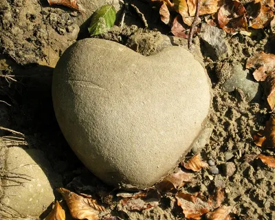 Каменное сердце. Сердце из камня, …» — создано в Шедевруме