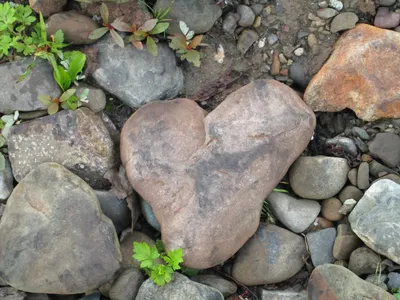 хрупкое каменное сердце разбилось на чистом холсте в 3d, форма сердца, знак  любви, символ сердца фон картинки и Фото для бесплатной загрузки