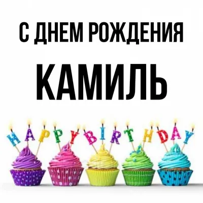купить торт с днем рождения камиль c бесплатной доставкой в  Санкт-Петербурге, Питере, СПБ