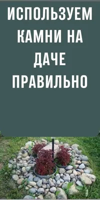 Сад камней на даче:как своими руками украсить участок - 7Дней.ру