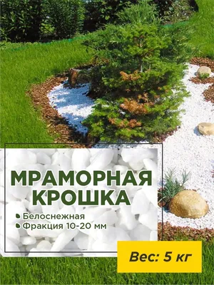 Рокарий на даче своими руками: как украсить участок при помощи камней |  Компания «Большая земля»