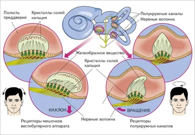 Лицевой нерв