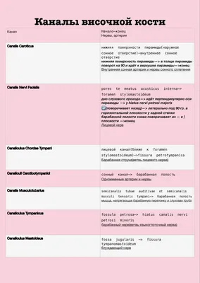 каналы височной кости | Анатомия, Медицина, Мотивация студента