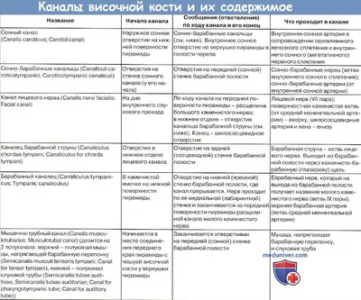 Каналы височной кости в картинках фотографии