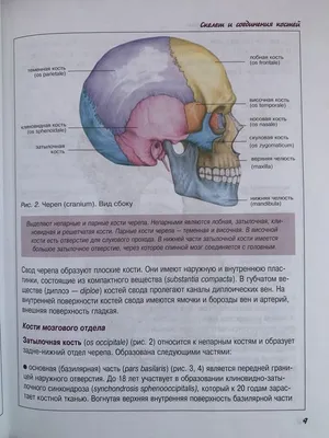 КТ внутреннего и среднего уха - компьютерная томография по доступной цене в  Москве | Медскан.