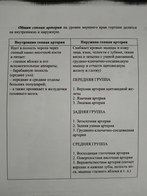 Апраксия - причины, виды, симптомы и лечение - Семейная клиника ОПОРА г.  Екатеринбур