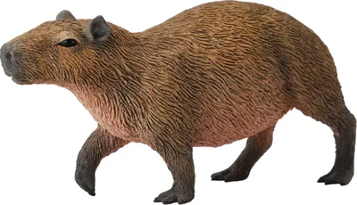 Капибара Игрушка мягкая большая Капибара Capybara