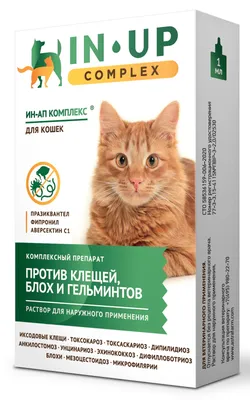 Кандибиотик 5мл капли ушные гленмарк купить по цене от 499 руб в Москве,  заказать с доставкой, инструкция по применению, аналоги, отзывы