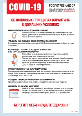 Эксперт заявил, что 10-дневный карантин для больных ковидом в РФ  необоснован | Телеканал Санкт-Петербург