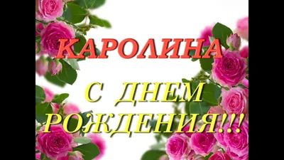 Почемучки: С ДНЁМ РОЖДЕНИЯ, КАРОЛИНА!