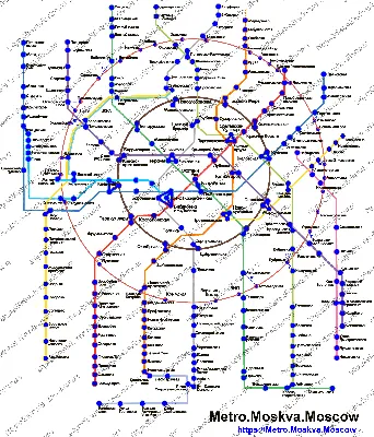 Настоящая карта метро: реальное местоположение станций | А - Кадастр | Дзен