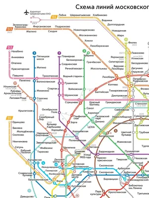 Схема Московского метро в 2030 году. Инфографика | Общественный транспорт |  Общество | Аргументы и Факты