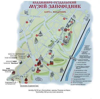 Во Владимире создали петицию против застройки парка «Дружба» – Томикс