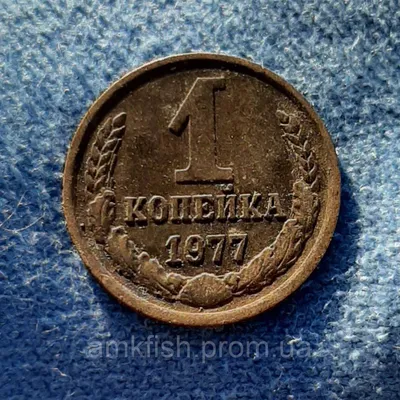 Монета СССР 1 копейка, 1977 года (ID#686202169), цена: 3 ₴, купить на  Prom.ua