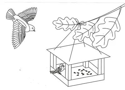 Картинка 2 класс тема покормите птиц фотографии