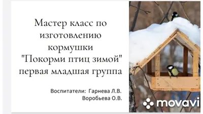 Всероссийская эколого -культурная акция «Покормите птиц зимой» | 19.01.2023  | Болхов - БезФормата