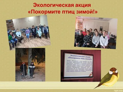 Экологическая акция \"Покормите птиц зимой\" (\"Птицы в городе\"), ГБОУ Школа №  1793, Москва