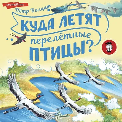 Миграция птиц в Калининградской области началась на две недели раньше срока  - Новости Калининграда - Новый Калининград.Ru