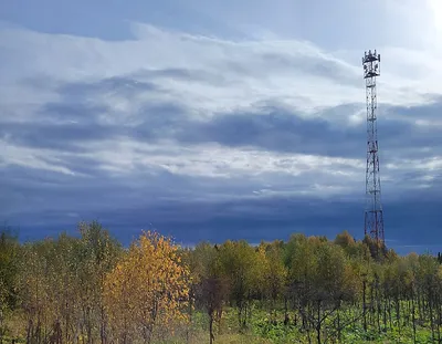 Госуслуги проголосовали за – Коммерсантъ