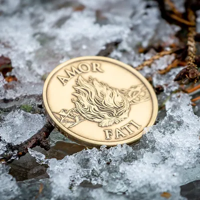 Amor Fati Medallion – Daily Stoic Store